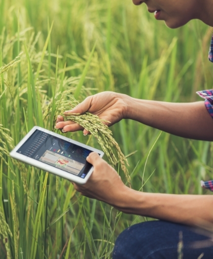 Leer Artículo sobre el sector agro