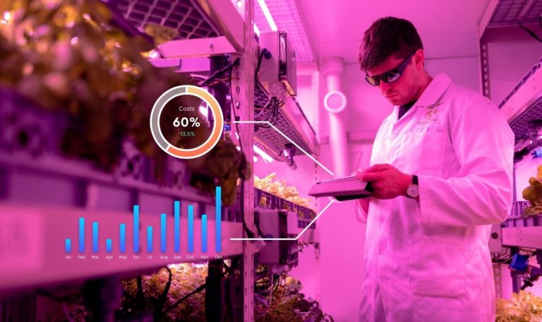 Leer artículo sobre la gestión de datos en la industria agroalimentaria